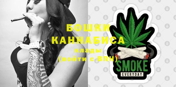 дмт Краснослободск