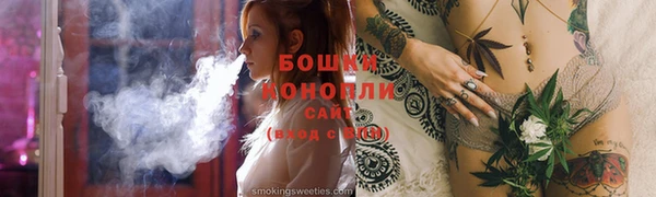 дмт Краснослободск